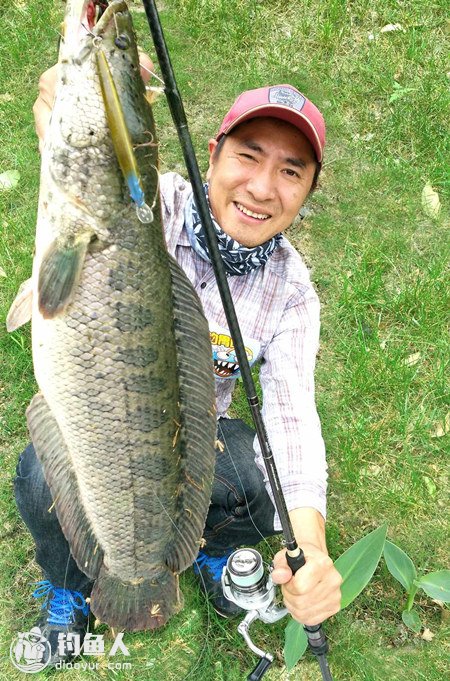 河里路亚鲶鱼，选择饵料至关重要