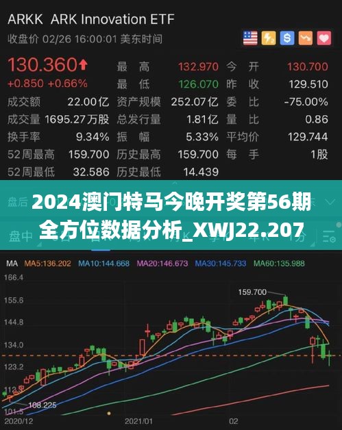 澳门特马,实地考察数据解析_视频版34.40