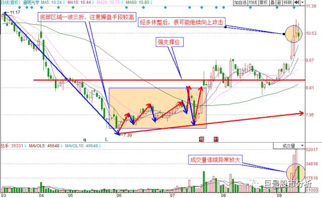 三肖必中三期必出凤凰网2023,高度协调策略执行_模拟版9.232