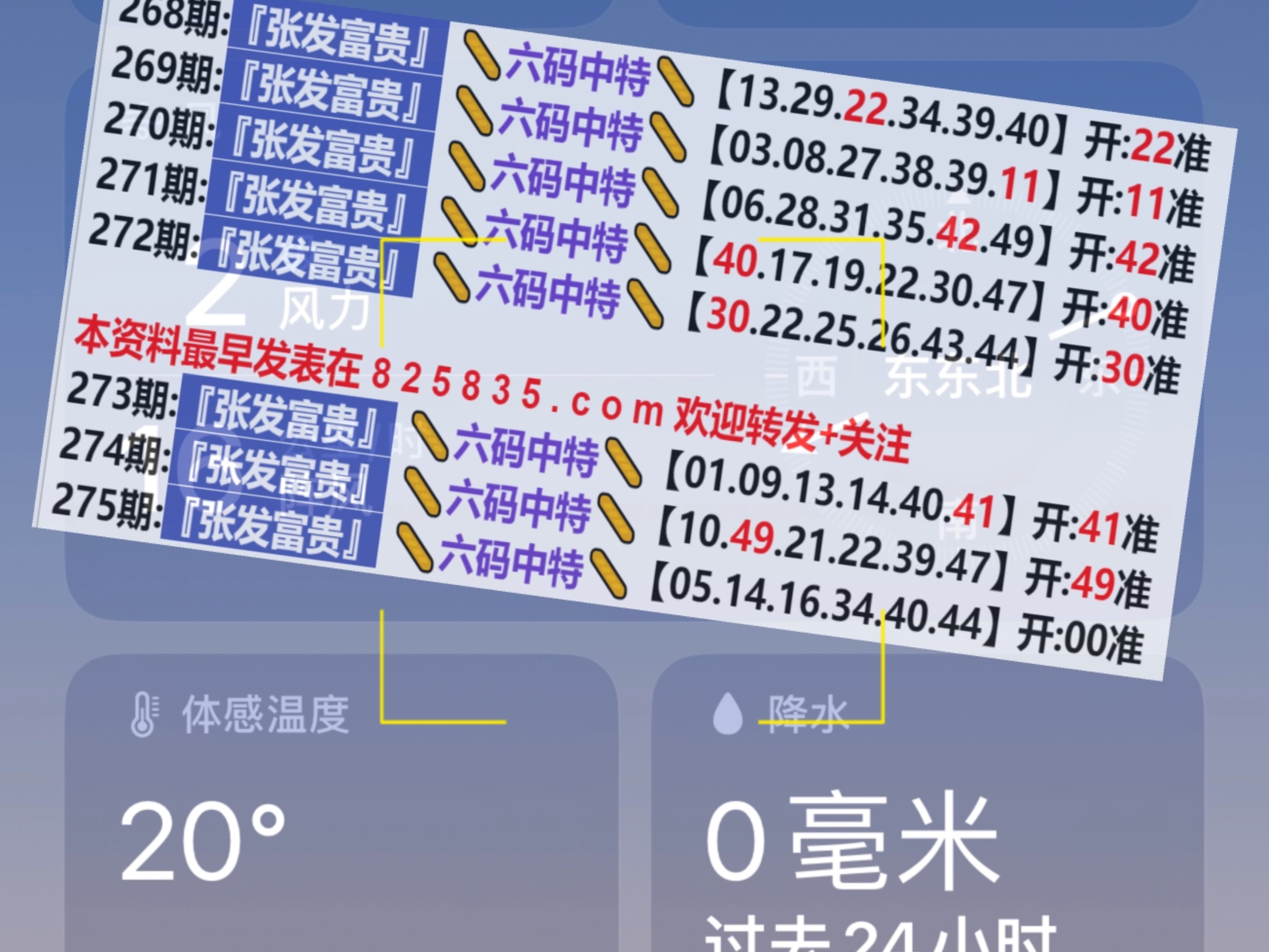 2024新奥门天天开好彩大全85期,精细解答解释定义_Windows24.483