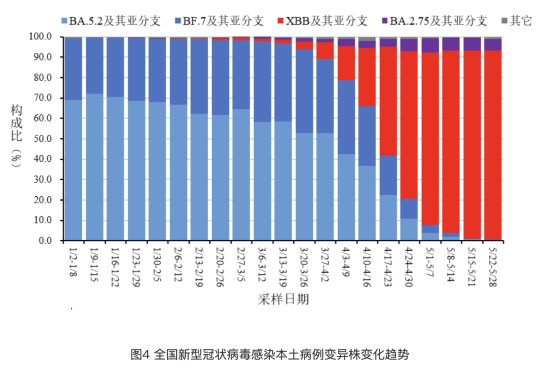 新澳门彩开奖结果2024开奖记录,数据驱动方案实施_8DM98.156