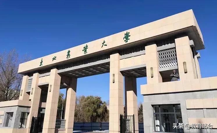 林业大学顶尖专业深度解析与前景展望