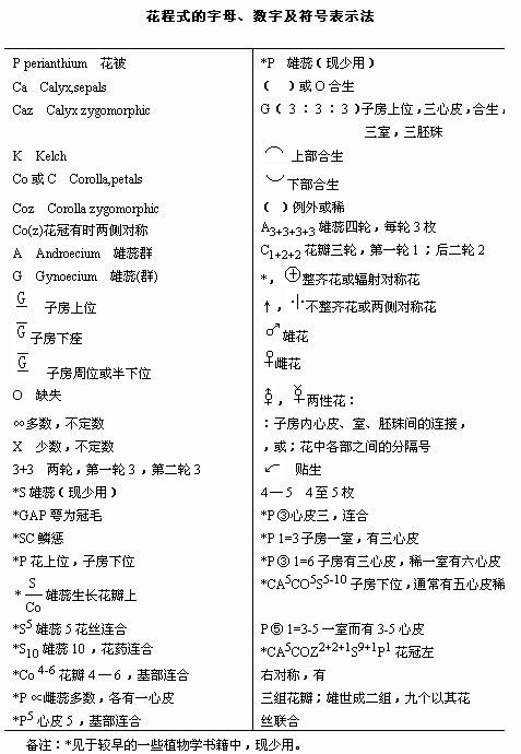 白小姐三肖三期必出一期开奖2024,科学研究解释定义_HarmonyOS78.623