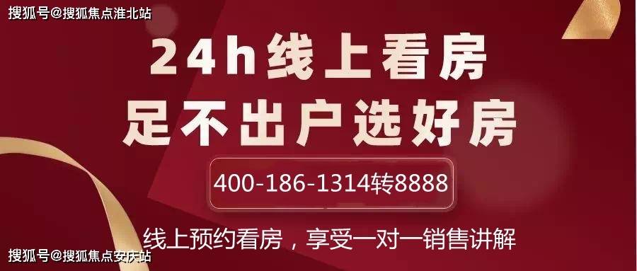 新澳今晚三中三必中一组,专业解析说明_潮流版51.222