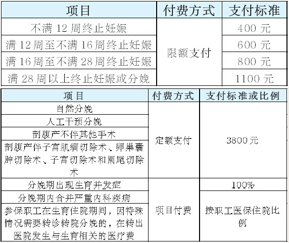 澳门广东八二站,综合计划定义评估_特供版13.365