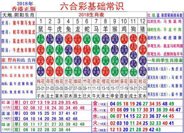 澳门正版资料大全资料生肖卡,全面计划解析_经典款60.173