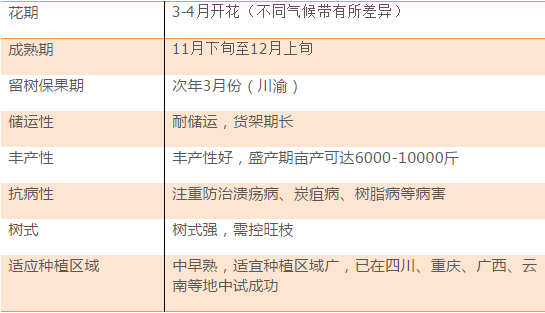 2024新澳今晚开奖号码139,实证研究解析说明_DP58.840