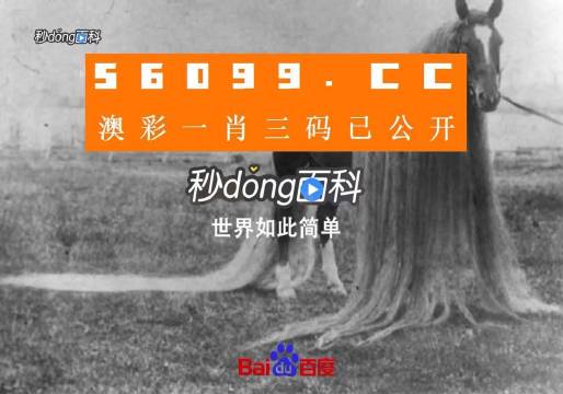 澳门一肖一码一必中一肖同舟前进,全面解读说明_Pixel37.686