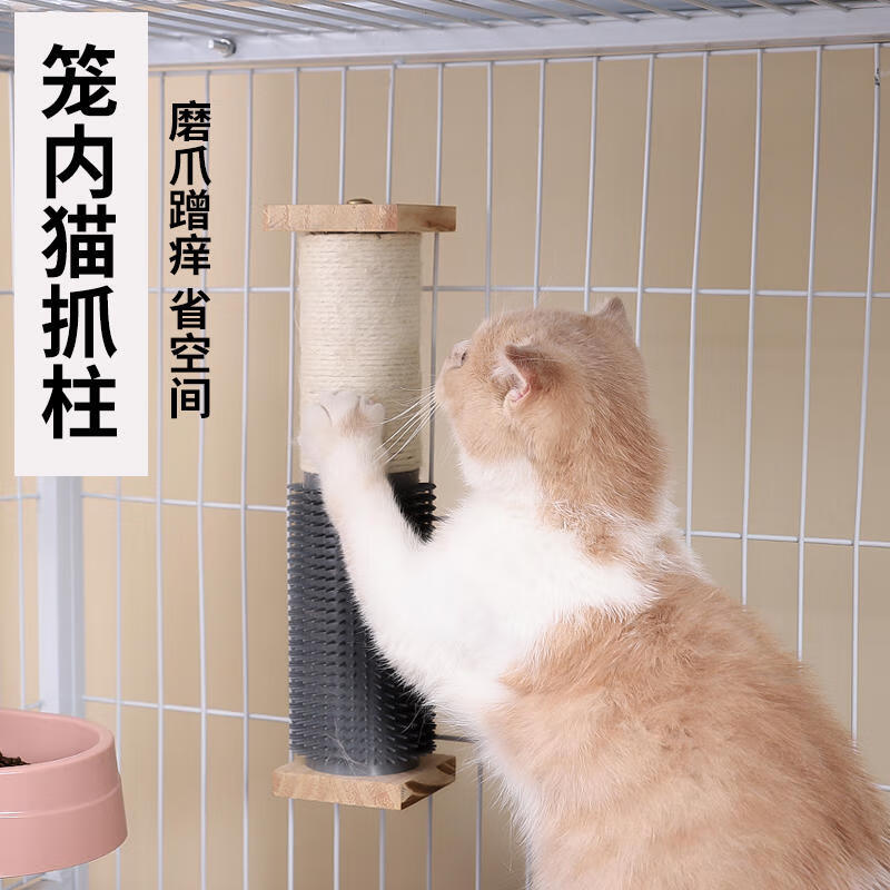 猫咪不使用猫爪板？探索解决方案助力猫咪幸福生活