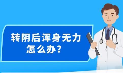 新澳精准资料免费提供网站有哪些,精细设计策略_Windows28.993