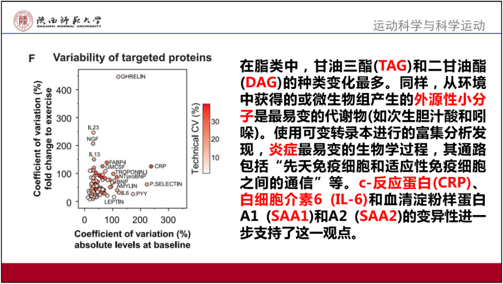 新奥门资料大全正版资料2024年免费下载,最新答案解释定义_尊享款87.30