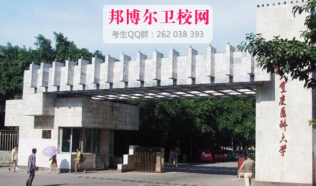 医科大学的摇篮，培养未来医学领袖的殿堂