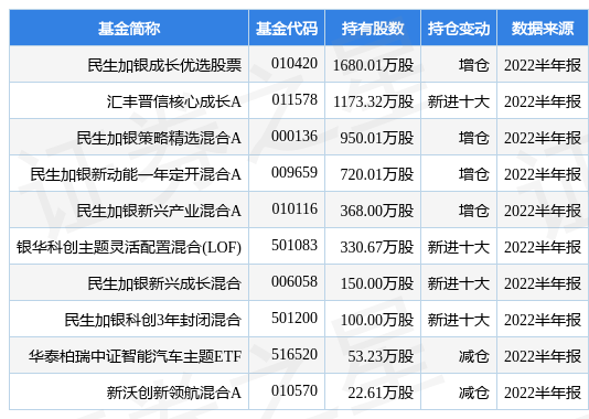 新澳2024正版资料免费公开,全面数据策略解析_视频版39.230