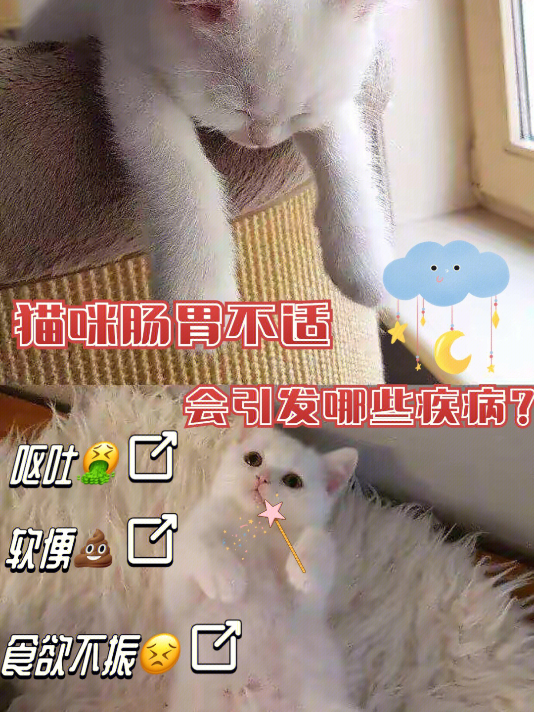 猫咪胃肠道疾病，深度解析与应对策略