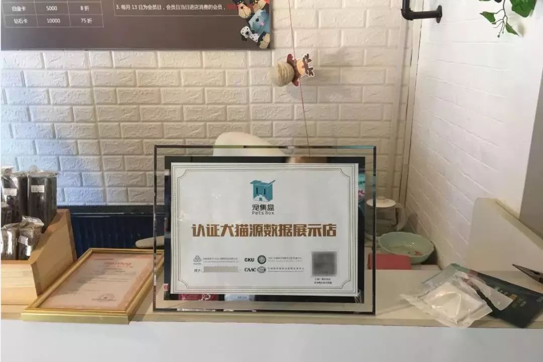 宠物店证书的重要性及其影响力不容小觑