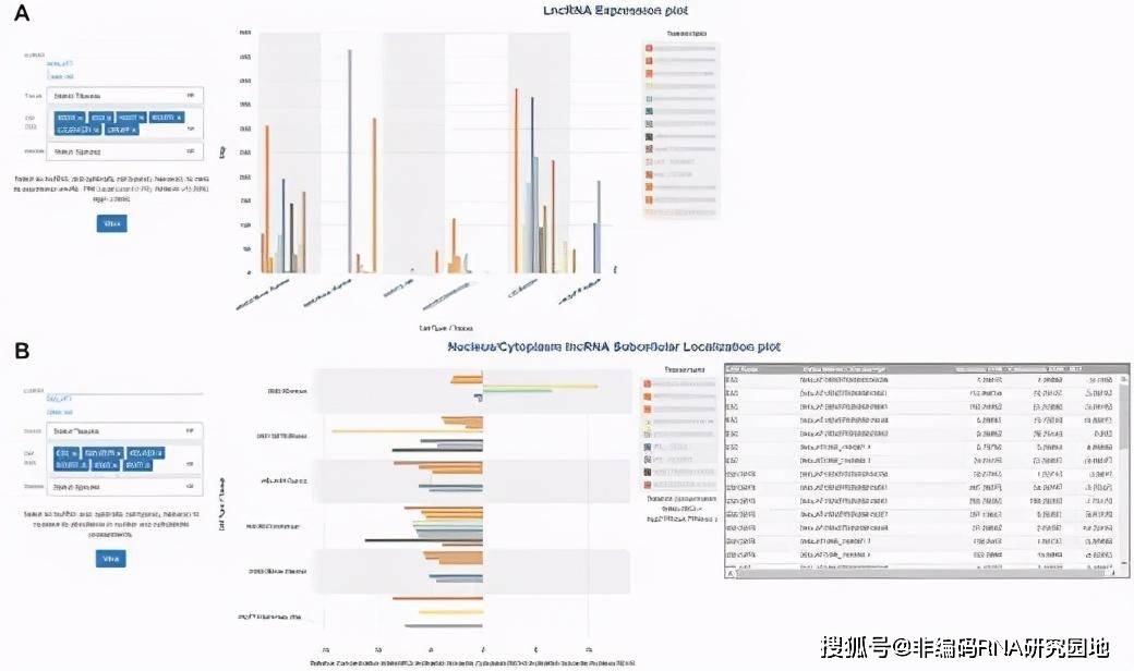 新澳门资料,数据分析解释定义_UHD44.170