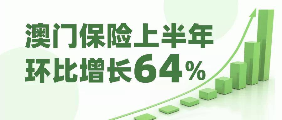 新澳门精准资料大全管家婆料,数据导向实施_限定版49.249