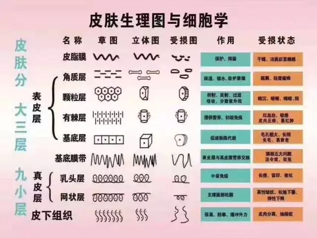 2024年澳门天天开好彩最新版，前沿解答解释落实_uu87.95.97