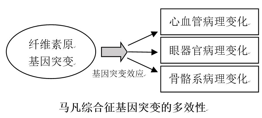 admin 第15页