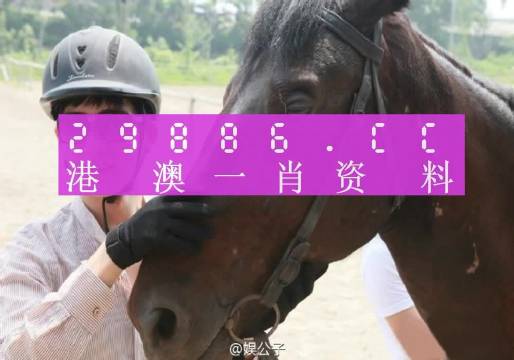 澳门彩选一肖一码，详细解答解释落实_gr31.16.52