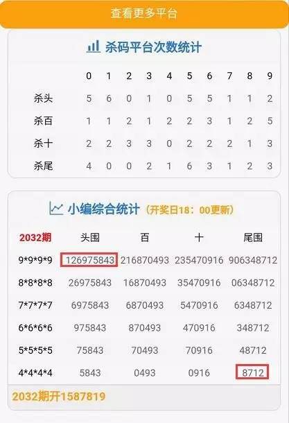 澳门码今晚开什么特马精准，专家解答解释落实_9689.63.13