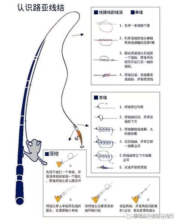 为自 第5页