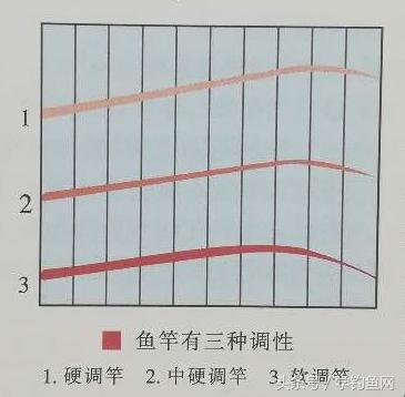 解析鱼竿硬度，哪种调性鱼竿最坚硬？