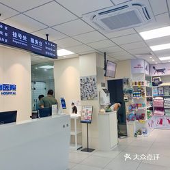 上海大型宠物医院，宠物健康的坚实守护者