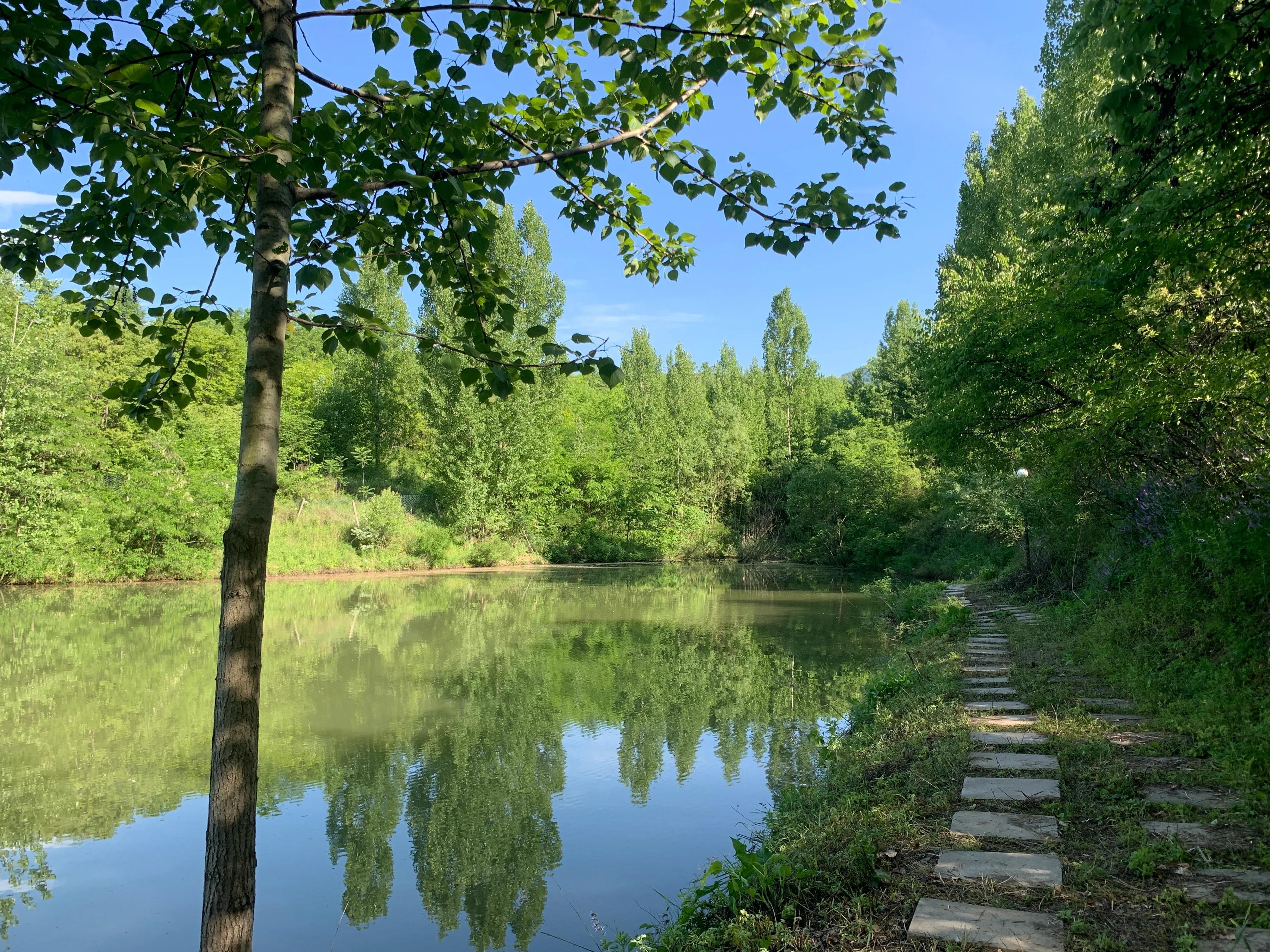 水库路亚钓鱼，最佳装备与策略探索指南