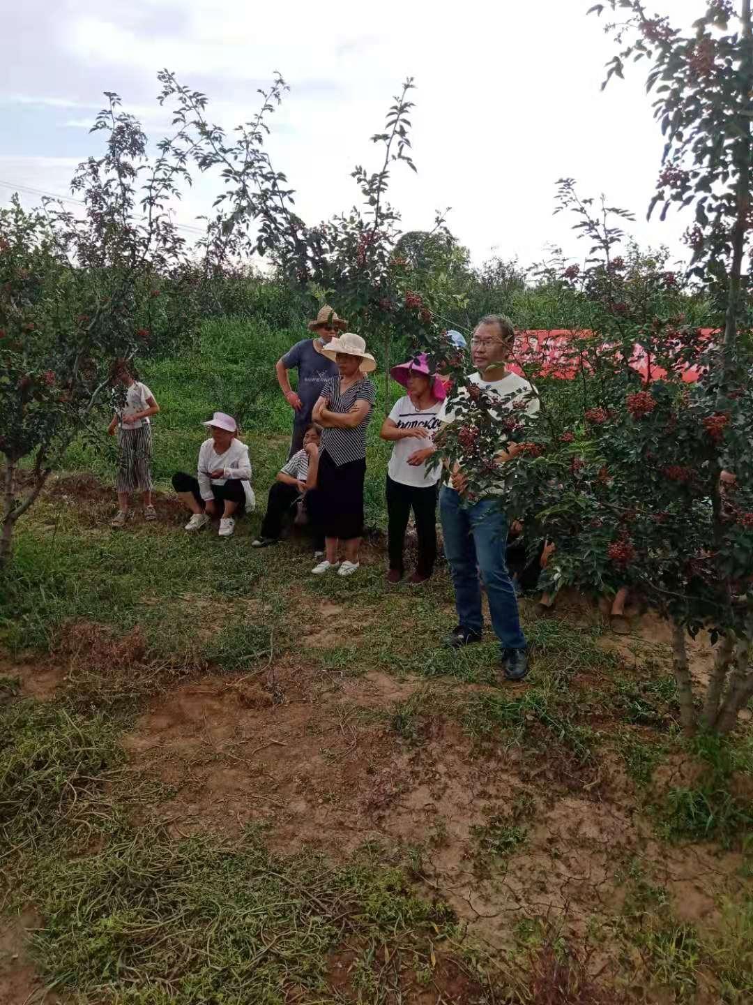 管理类大学专业深度解析与探讨，专业种类及特点探析