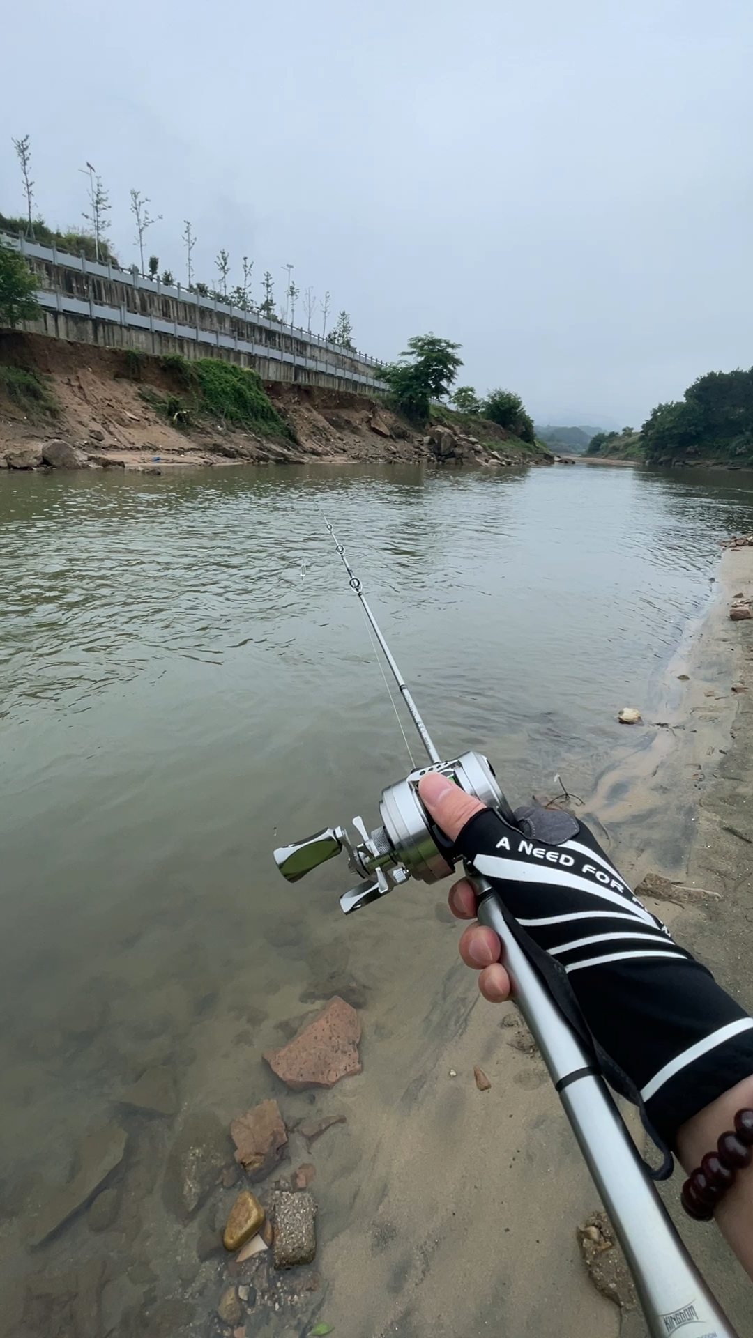 西枝江路亚，探索之旅的奇妙发现