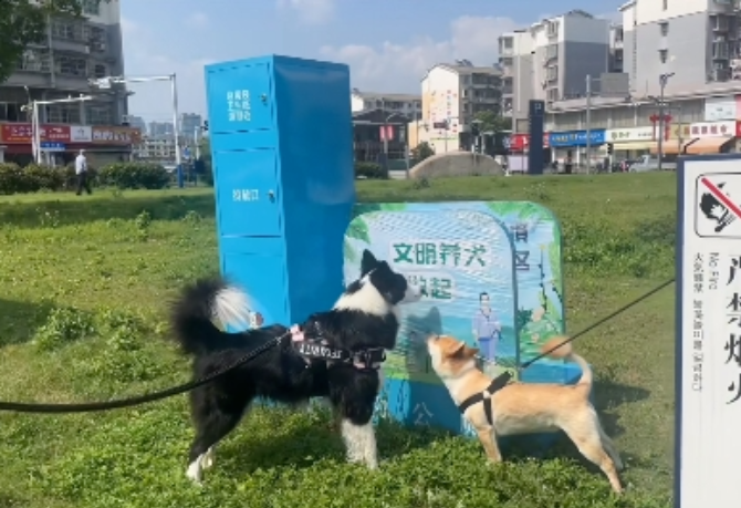 带宠物出游，探索宠物友好景区