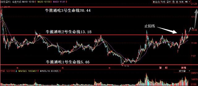 贸始终 第62页