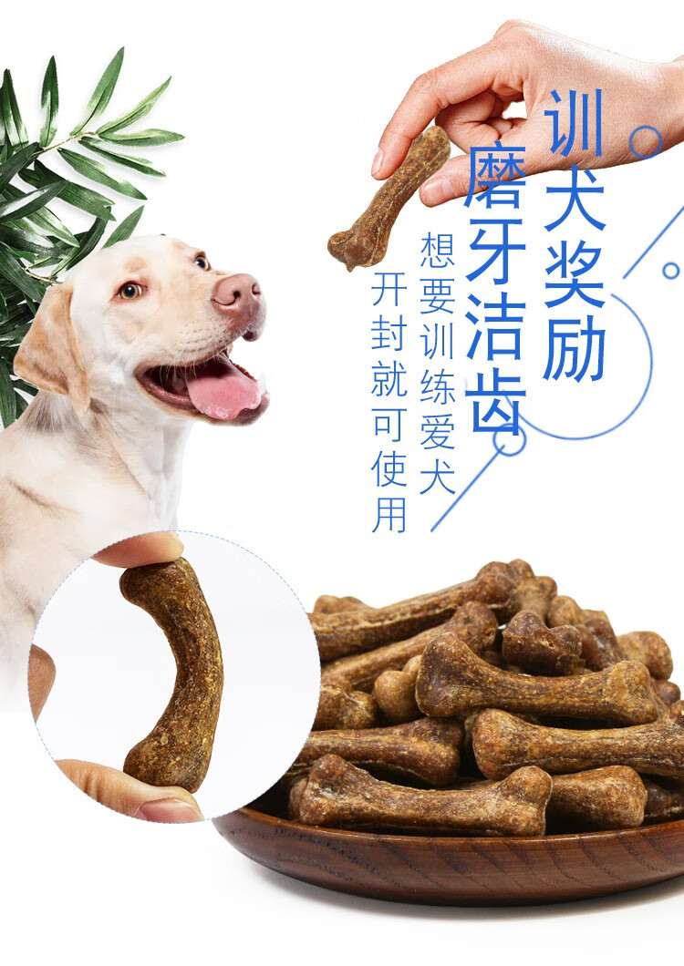 探究宠物犬口腔健康与成长发育，狗狗何时开始需磨牙棒？