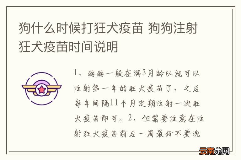 狗狗狂犬疫苗注射最佳时机指南