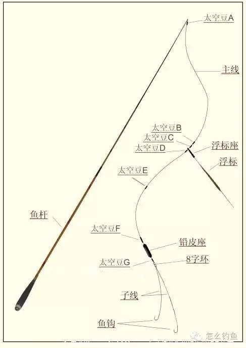 手竿安装教程，一步步教你如何正确安装鱼竿指南