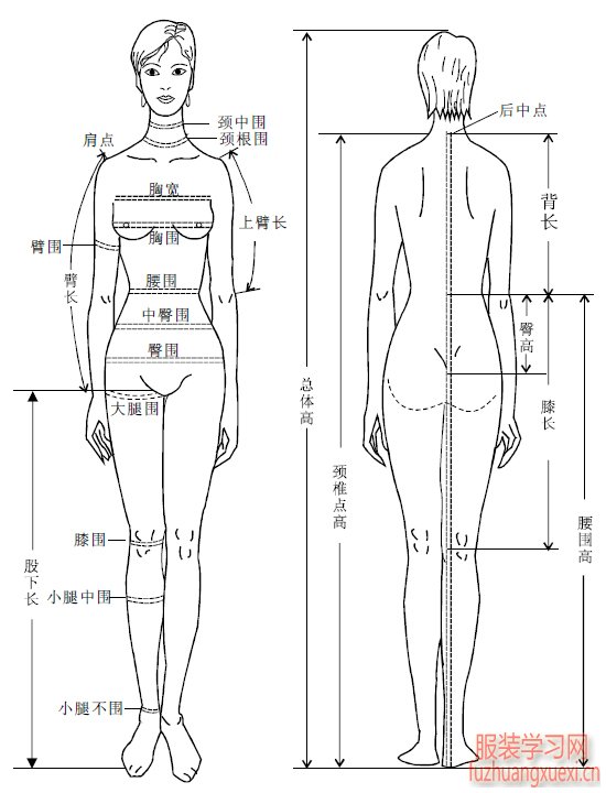 如何准确测量衣服尺寸，关键步骤指南