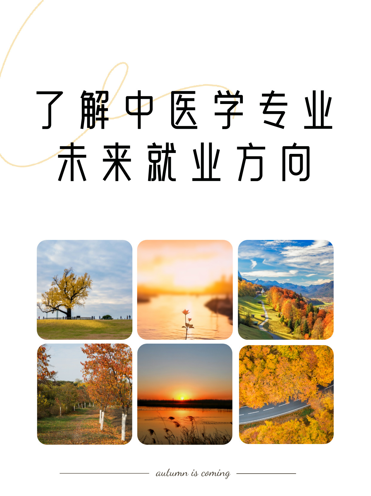 中医专业就业方向，多元化路径与广阔前景展望