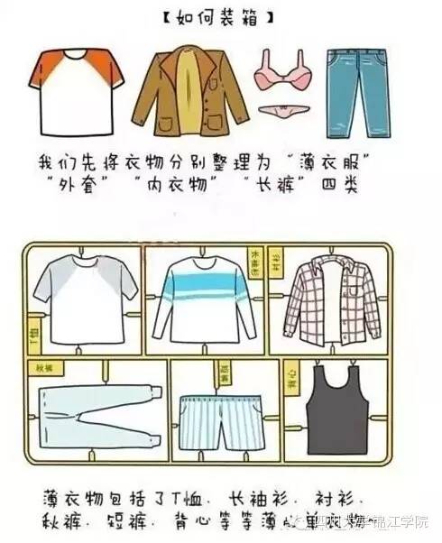 衣服所属类别的重要性概述