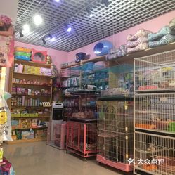 乐天宠物店，人与宠物共融的温馨乐园