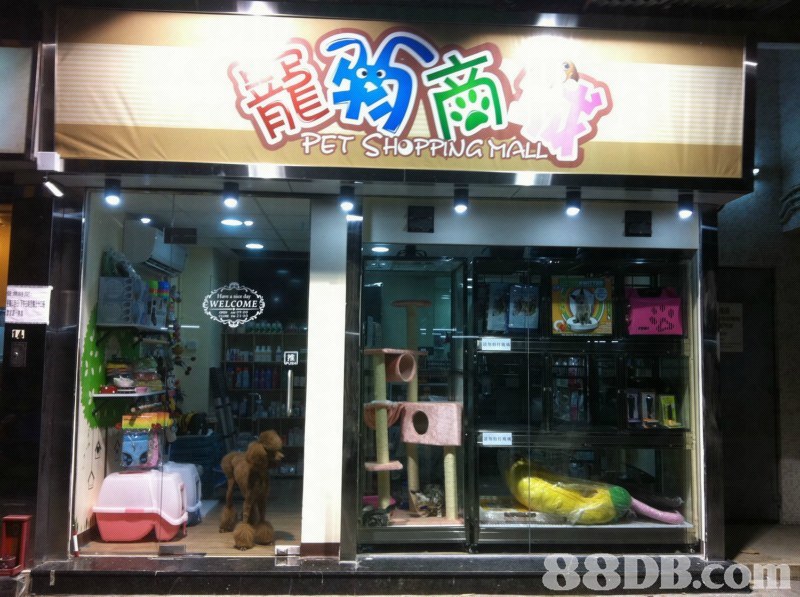 杭州宠物店转让，市场现状、机遇与未来发展展望