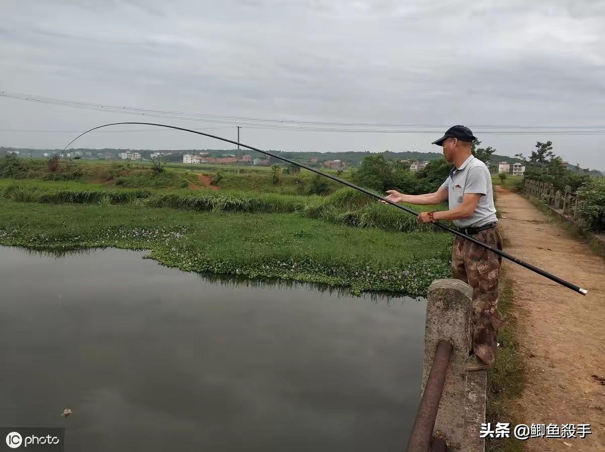 初学者的钓鱼竿选择，探索最实惠的钓鱼竿推荐