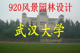 武汉大学专业课程深度解析与探讨